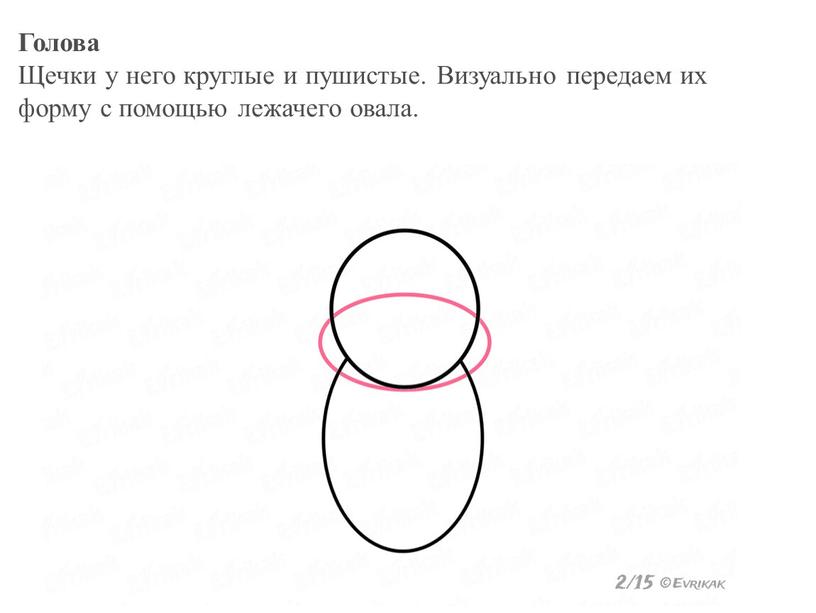 Голова Щечки у него круглые и пушистые