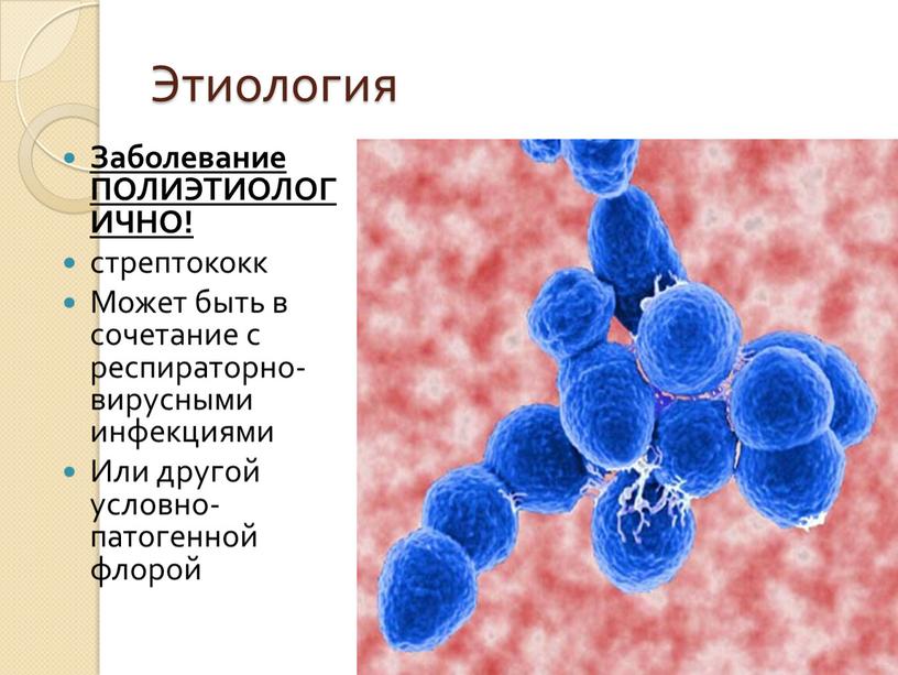 Этиология Заболевание ПОЛИЭТИОЛОГИЧНО! стрептококк