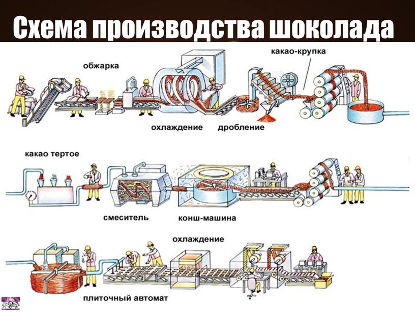 Производство шоколада Схема производства шоколада