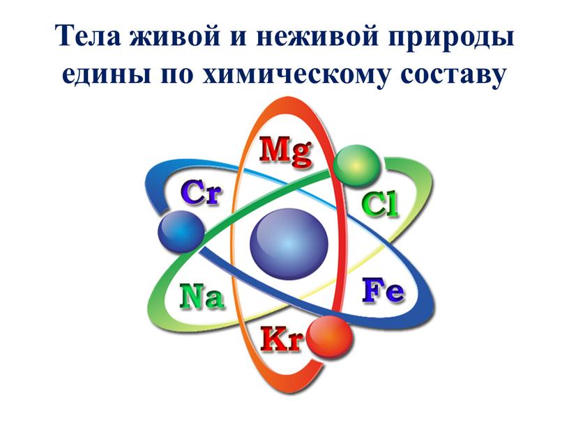 Тела живой и неживой природы едины по химическому составу