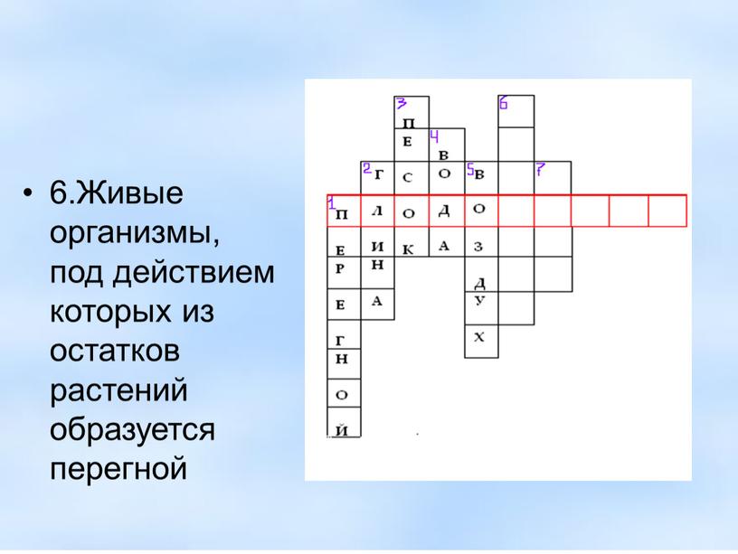 Живые организмы, под действием которых из остатков растений образуется перегной