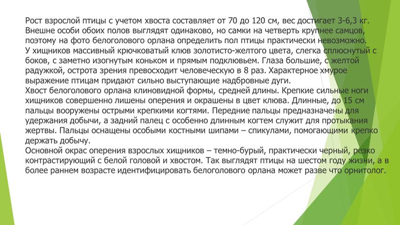 Рост взрослой птицы с учетом хвоста составляет от 70 до 120 см, вес достигает 3-6,3 кг