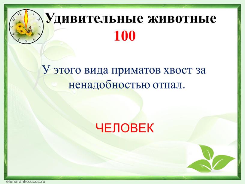 Какая нить в природе самая тонкая. Смотреть фото Какая нить в природе самая тонкая. Смотреть картинку Какая нить в природе самая тонкая. Картинка про Какая нить в природе самая тонкая. Фото Какая нить в природе самая тонкая