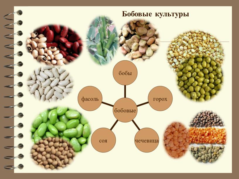 Макаронные изделия,крупы