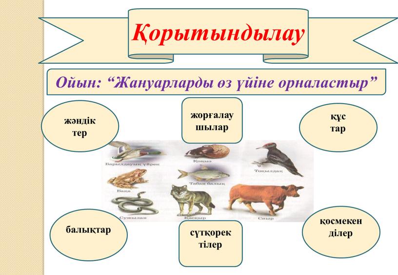 Ойын: “Жануарларды өз үйіне орналастыр” жорғалаушылар жәндік тер құс тар қосмекен ділер сүтқорек тілер балықтар