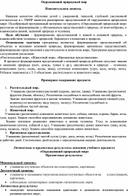 Адаптивная программа по предмету "Окружающий природный мир"   для детей с ОВЗ