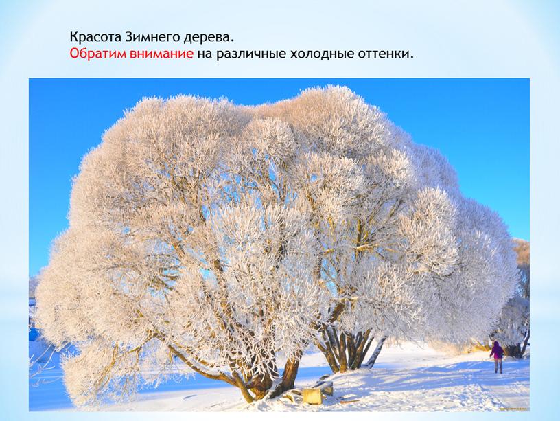 Красота Зимнего дерева. Обратим внимание на различные холодные оттенки