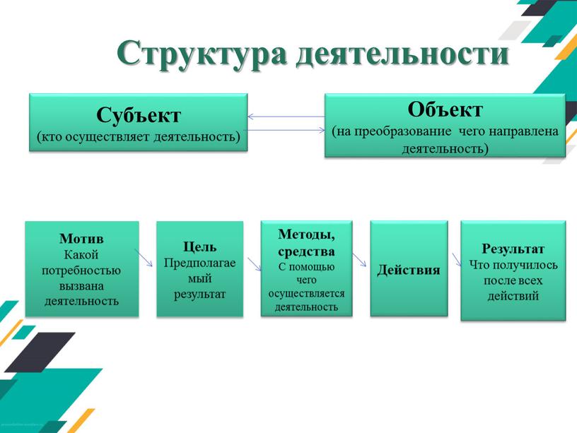 Структура деятельности Субъект (кто осуществляет деятельность)