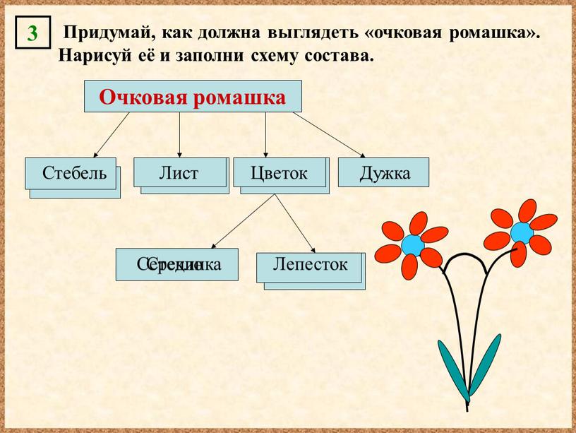 Очковая ромашка Стебель Серединка