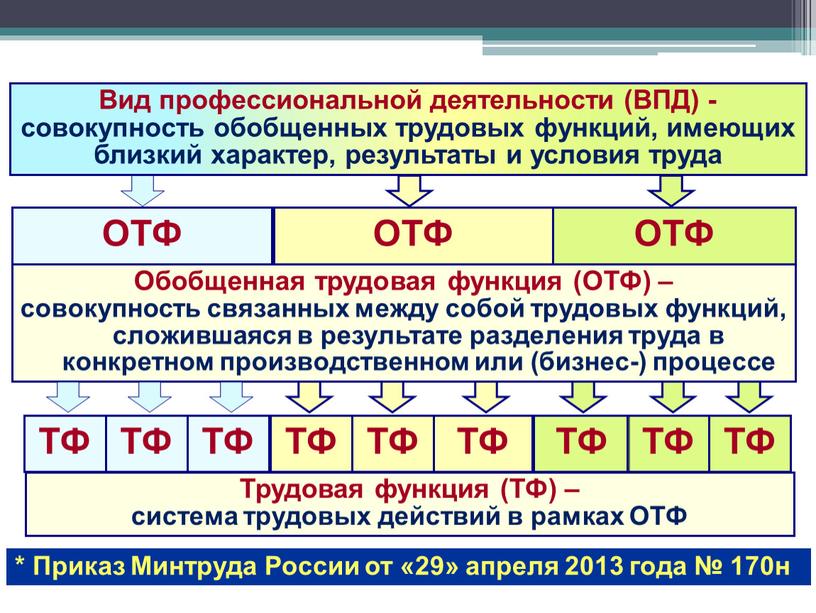 Трудовая функция (ТФ) – система трудовых действий в рамках