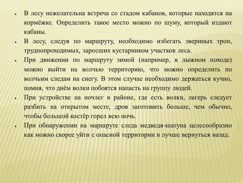 В лесу нежелательна встреча со стадом кабанов, которые находятся на кормёжке