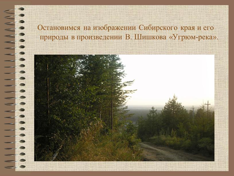 Остановимся на изображении Сибирского края и его природы в произведении