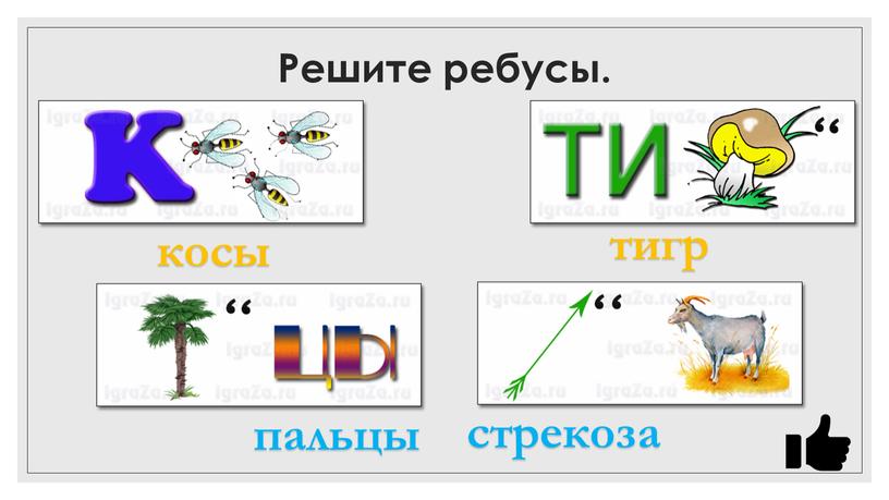 Решите ребусы. косы тигр пальцы стрекоза