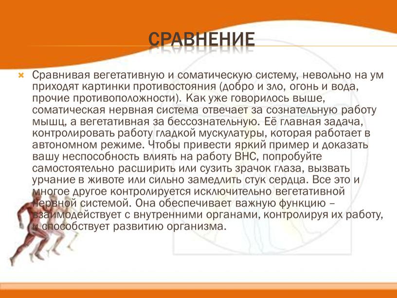 Сравнение Сравнивая вегетативную и соматическую систему, невольно на ум приходят картинки противостояния (добро и зло, огонь и вода, прочие противоположности)