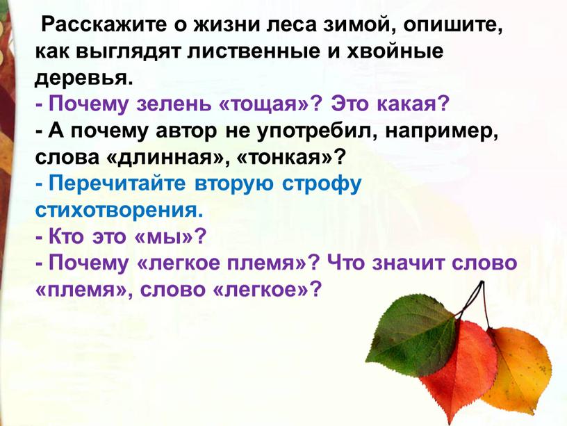 Расскажите о жизни леса зимой, опишите, как выглядят лиственные и хвойные деревья