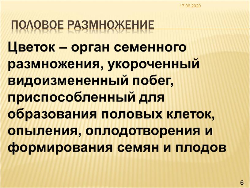 Половое размножение 17.06.2020 6