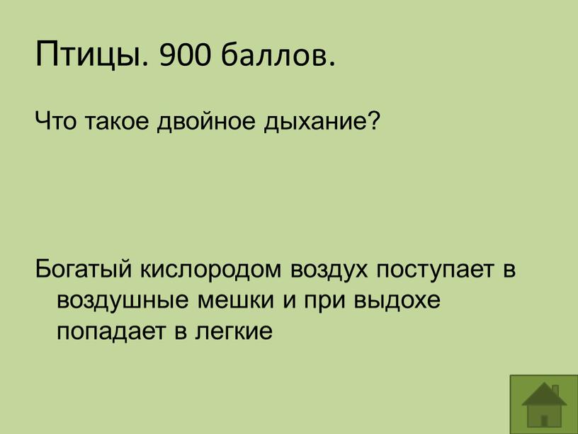 Птицы. 900 баллов. Что такое двойное дыхание?