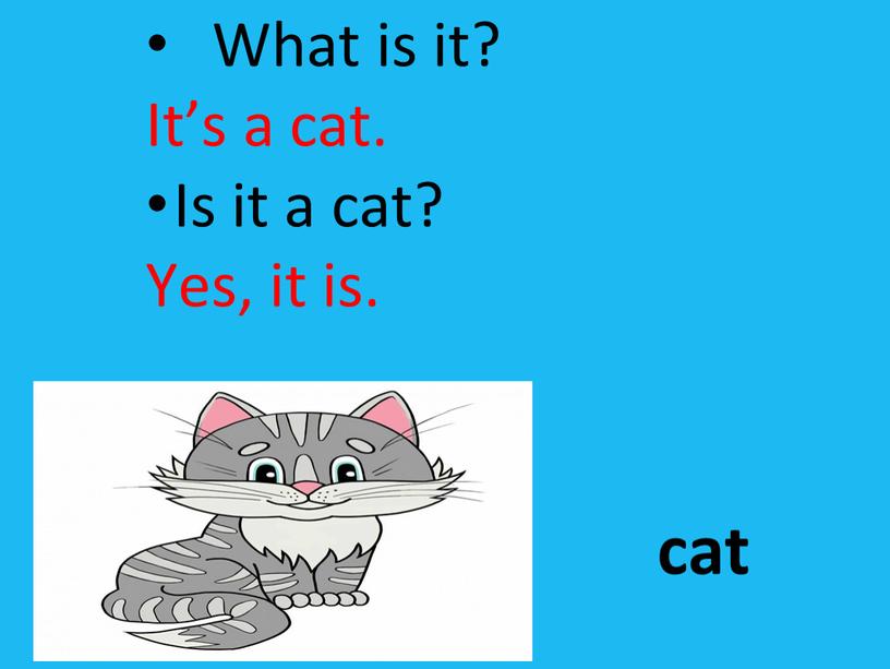 What is it? It’s a cat. Is it a cat?