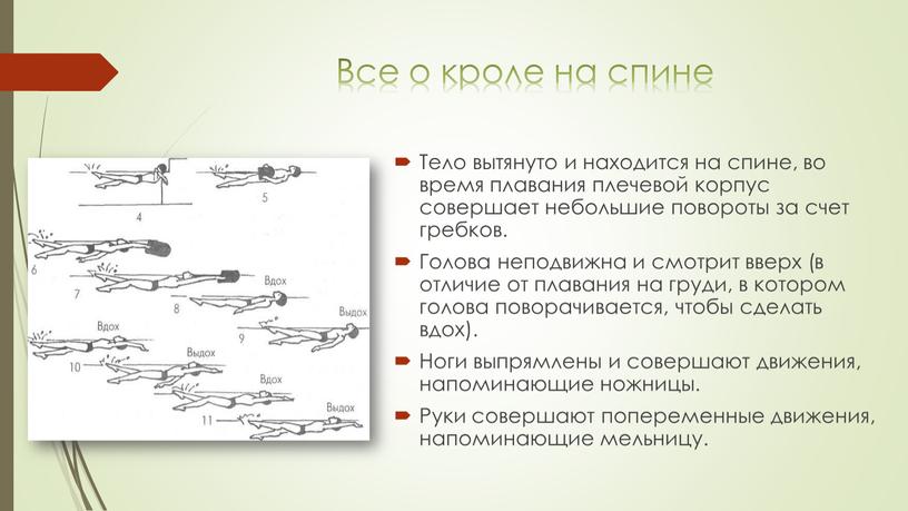 Все о кроле на спине Тело вытянуто и находится на спине, во время плавания плечевой корпус совершает небольшие повороты за счет гребков