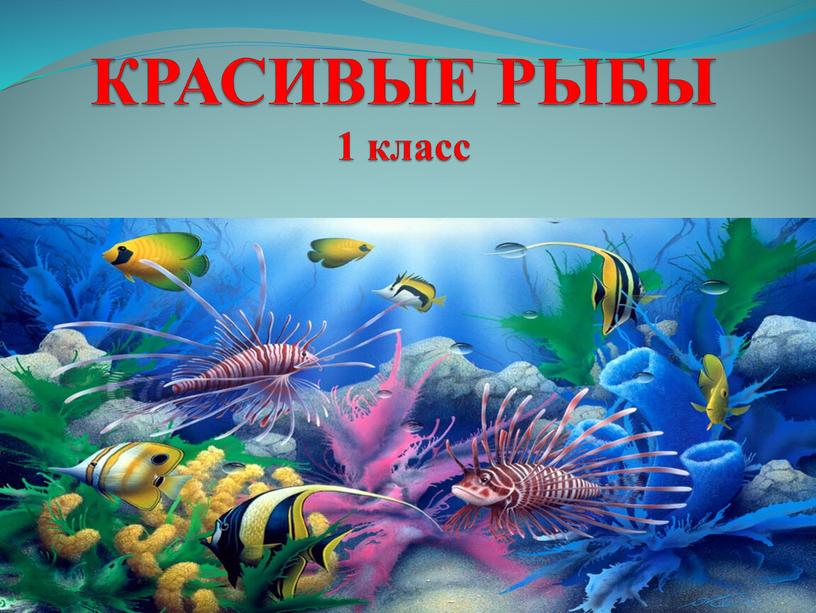 КРАСИВЫЕ РЫБЫ 1 класс