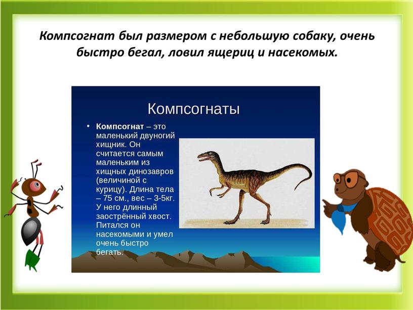 Компсогнат был размером с небольшую собаку, очень быстро бегал, ловил ящериц и насекомых