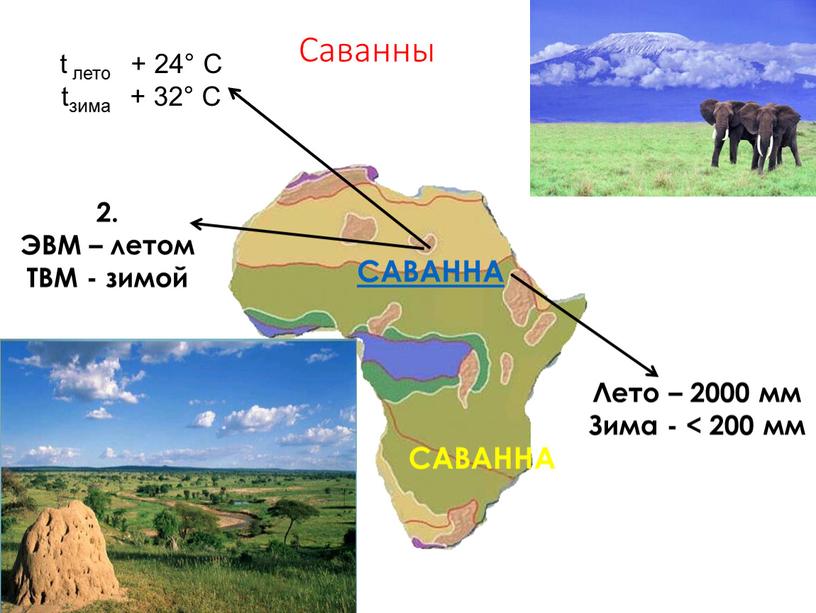 Саванны САВАННА САВАННА 2. ЭВМ – летом