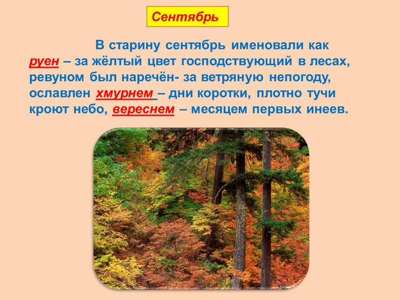 Сентябрь В старину сентябрь именовали как руен – за жёлтый цвет господствующий в лесах, ревуном был наречён- за ветряную непогоду, ославлен хмурнем – дни коротки,…