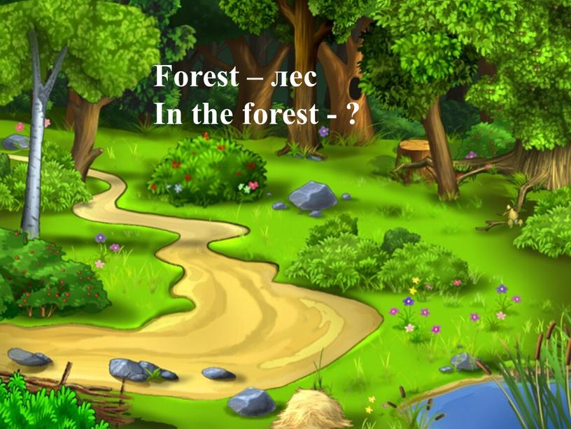 Forest – лес In the forest - ?