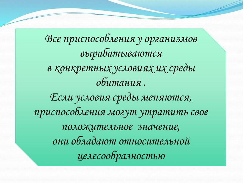 Все приспособления у организмов вырабатываются в конкретных условиях их среды обитания