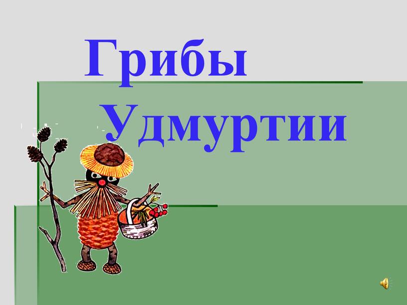 Грибы Удмуртии