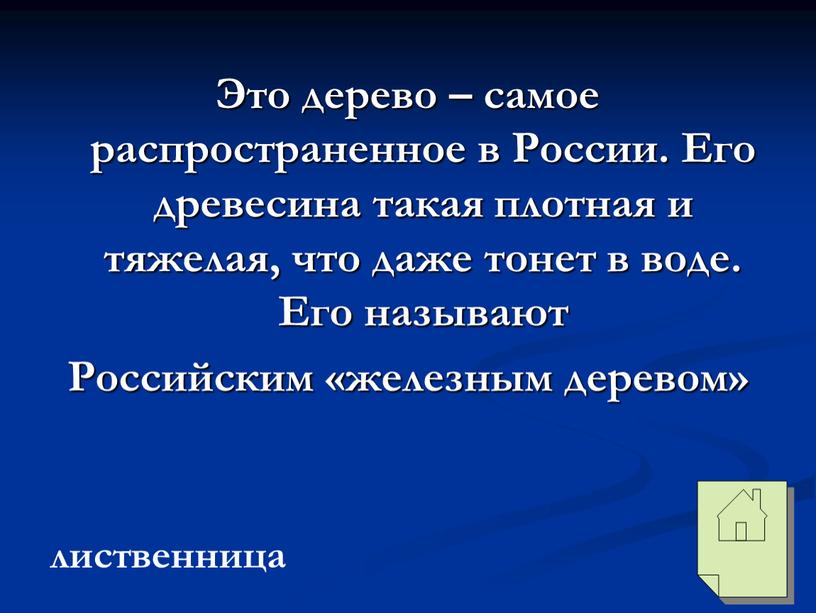 Это дерево – самое распространенное в