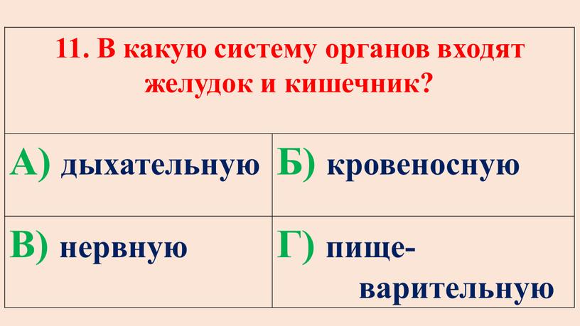 В какую систему органов входят желудок и кишечник?