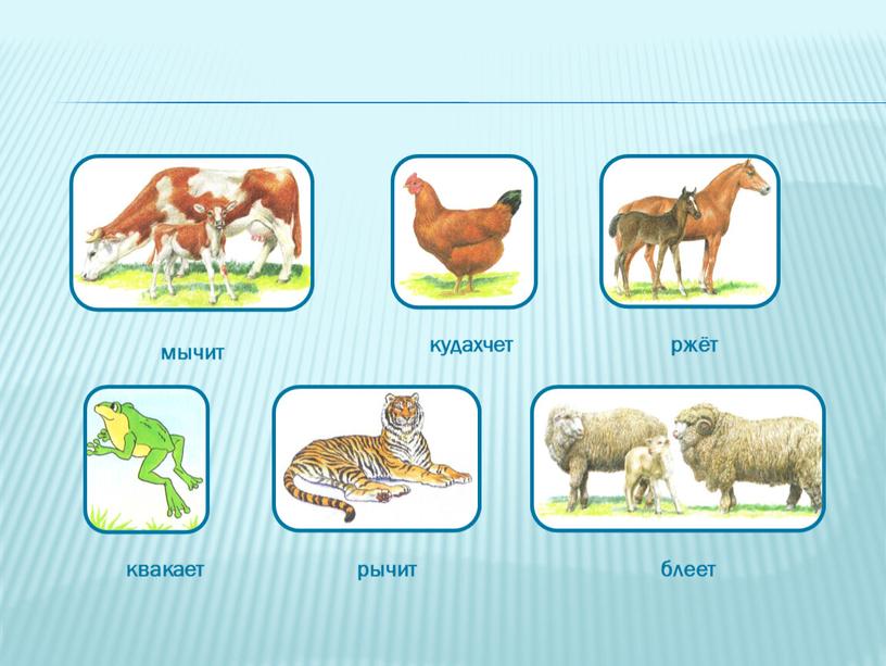 кудахчет мычит ржёт квакает рычит блеет