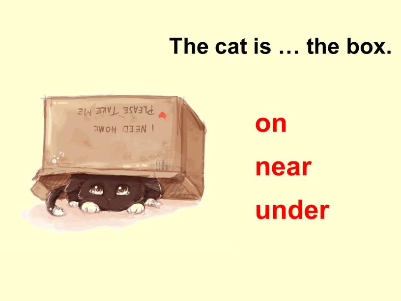 under The cat is … the box. on near