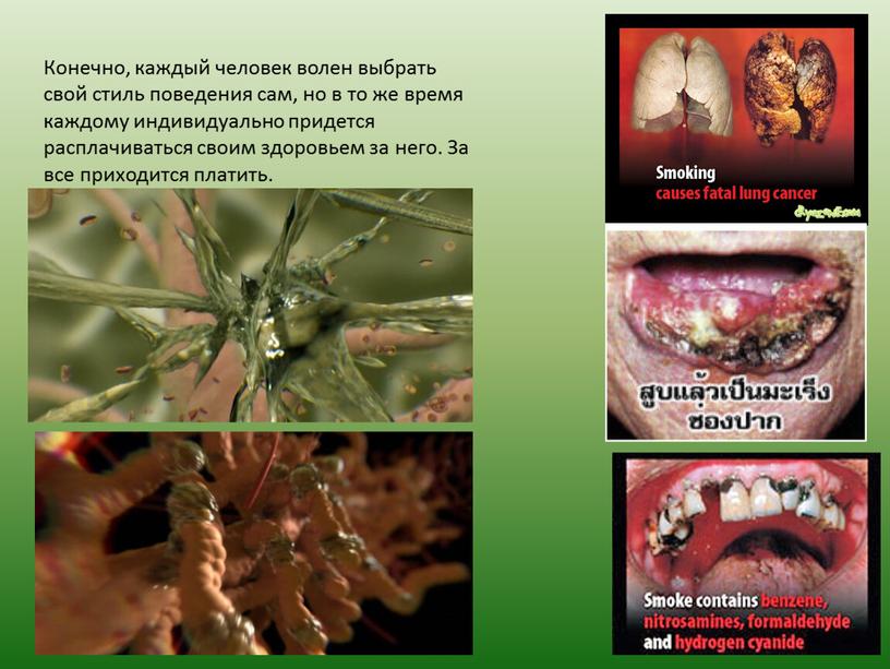 Конечно, каждый человек волен выбрать свой стиль поведения сам, но в то же время каждому индивидуально придется расплачиваться своим здоровьем за него