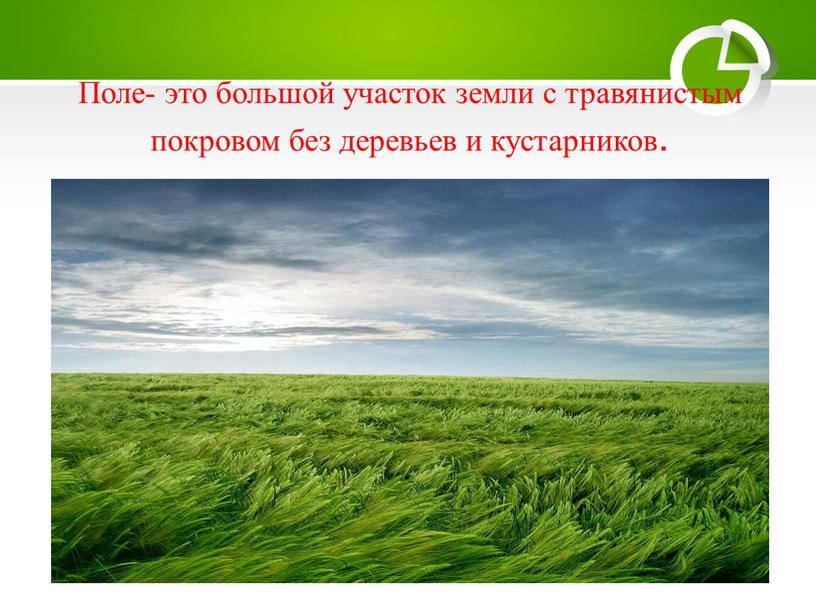 Поле- это большой участок земли с травянистым покровом без деревьев и кустарников