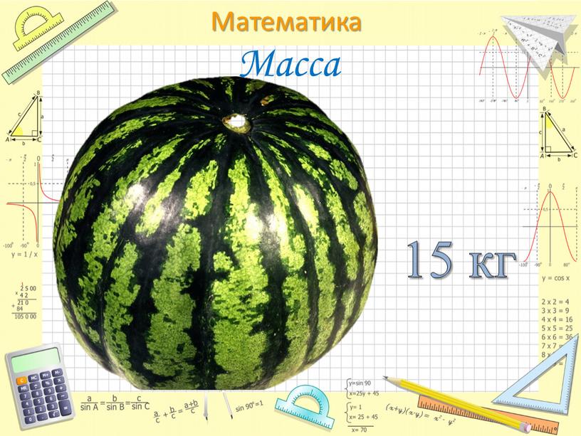 Масса 15 кг