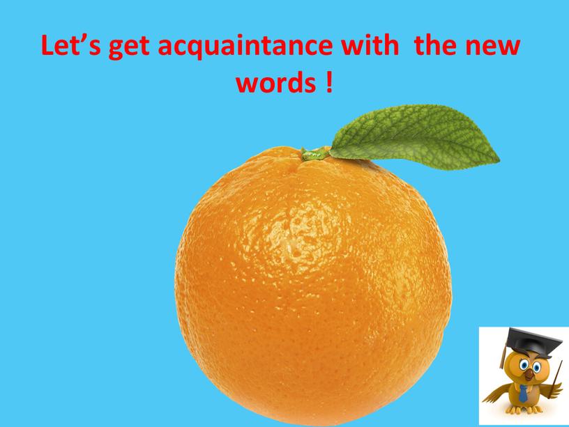 Let’s get acquaintance with the new words !