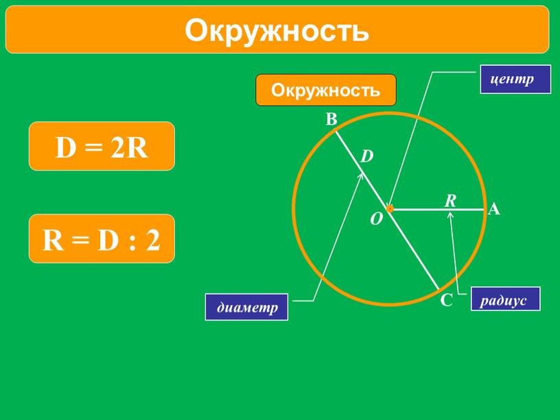 Окружность центр R D O радиус