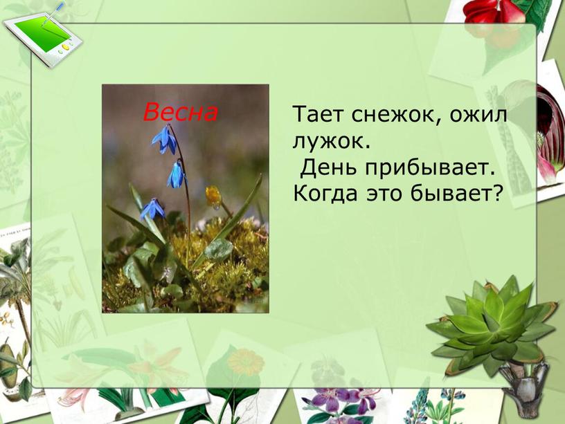 Тает снежок, ожил лужок. День прибывает