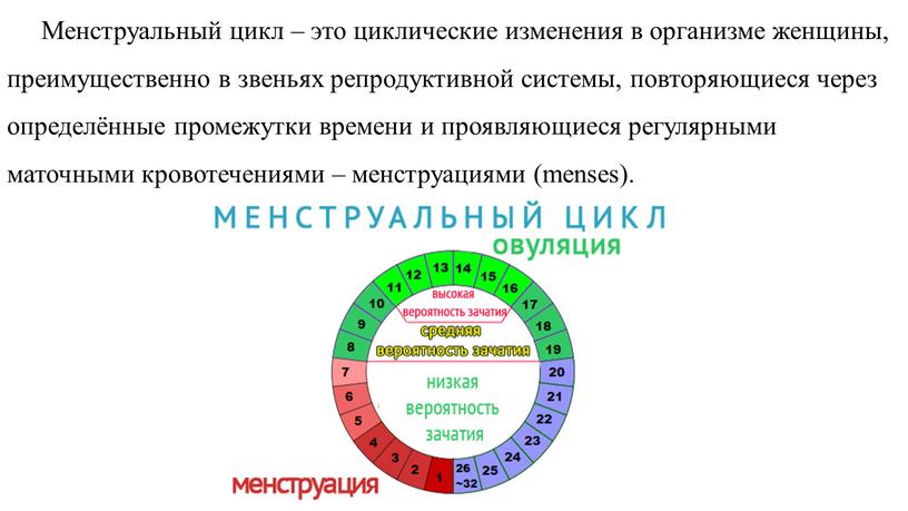 Менструальный цикл – это циклические изменения в организме женщины, преимущественно в звеньях репродуктивной системы, повторяющиеся через определённые промежутки времени и проявляющиеся регулярными маточными кровотечениями –…