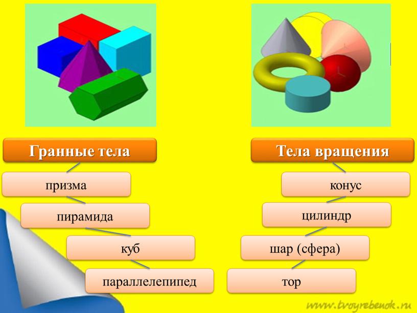 Гранные тела Тела вращения призма пирамида куб параллелепипед конус цилиндр шар (сфера) тор