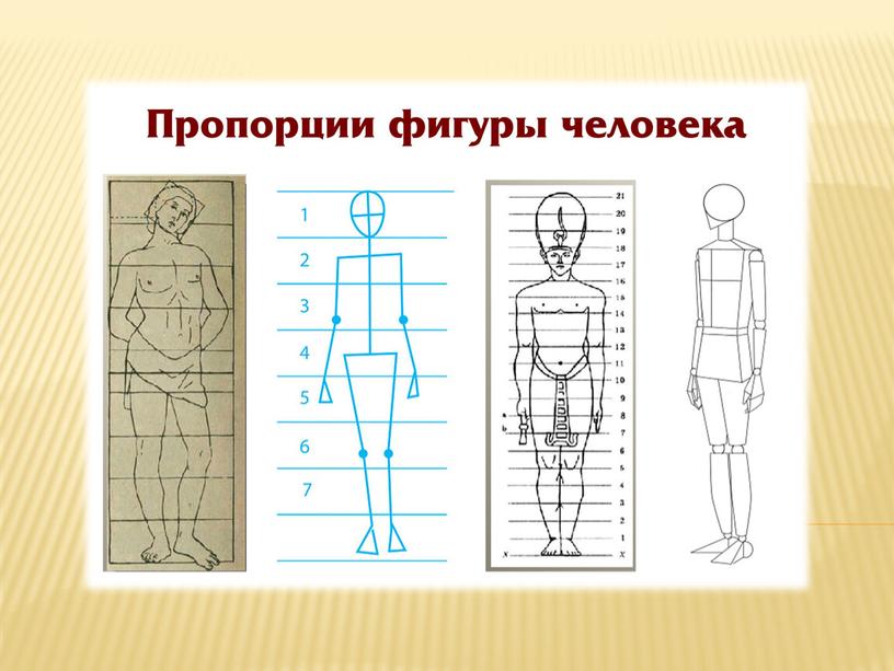 "Моделирование одежды. Пропорции фигуры человека"