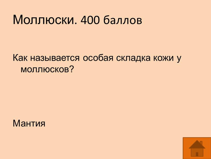 Моллюски. 400 баллов Как называется особая складка кожи у моллюсков?