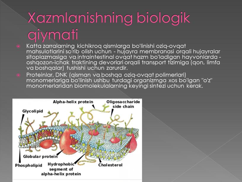 Xazmlanishning biologik qiymati