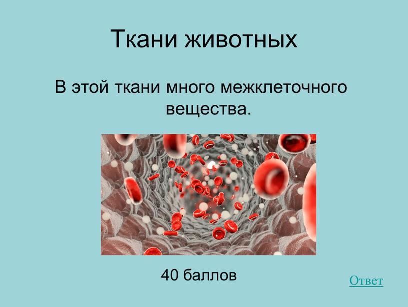 Ткани животных В этой ткани много межклеточного вещества