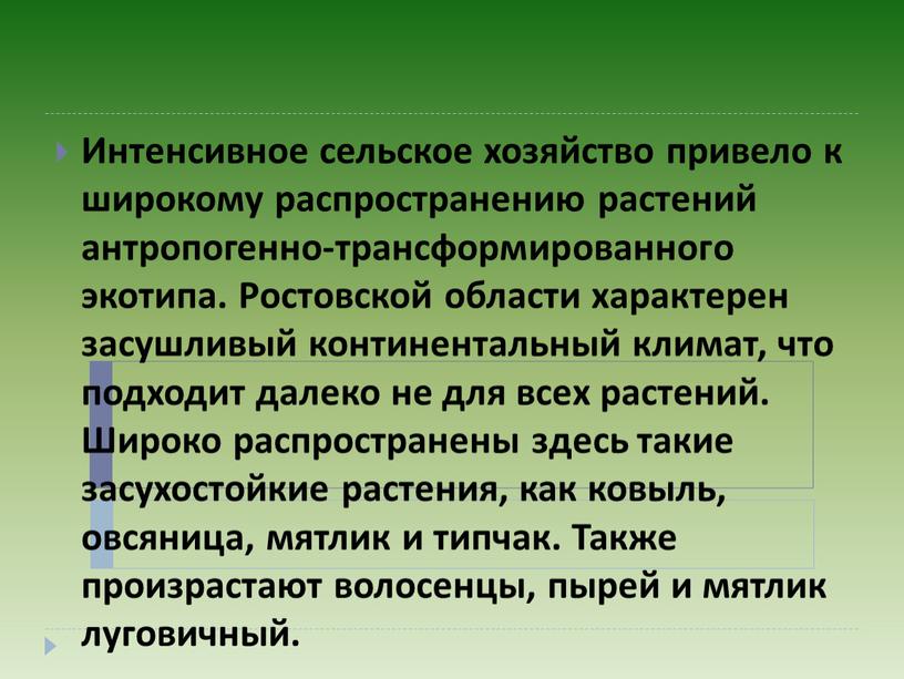 Интенсивное сельское хозяйство привело к широкому распространению растений антропогенно-трансформированного экотипа