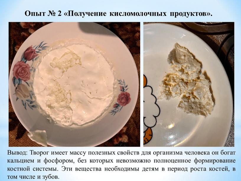 Опыт № 2 «Получение кисломолочных продуктов»