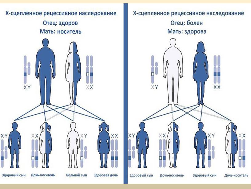 Гемофилия и ее влияние на организм