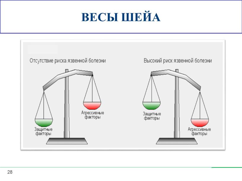 ВЕСЫ ШЕЙА 28